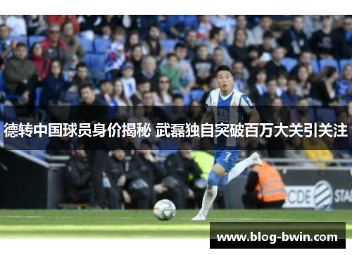 德转中国球员身价揭秘 武磊独自突破百万大关引关注