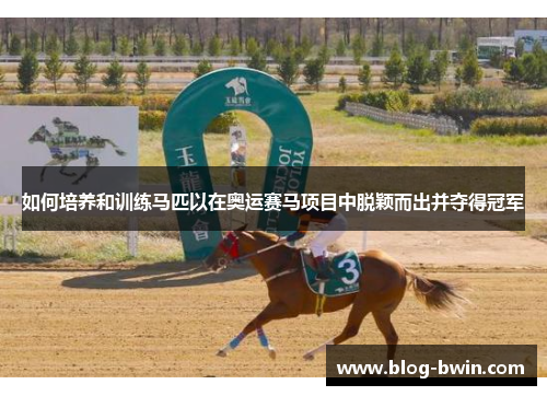 如何培养和训练马匹以在奥运赛马项目中脱颖而出并夺得冠军