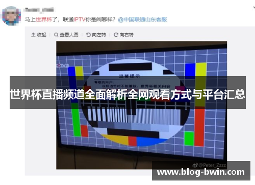 世界杯直播频道全面解析全网观看方式与平台汇总